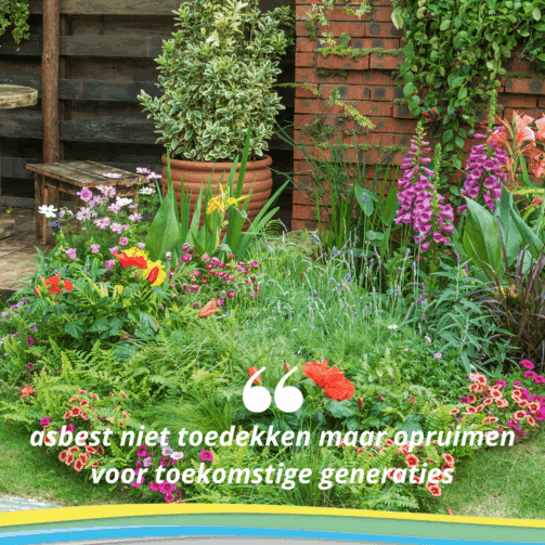 2-2_503x503_acf_cropped