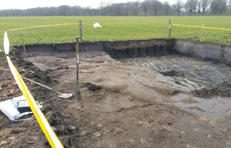 20190220_131359_resized_785x503_acf_cropped