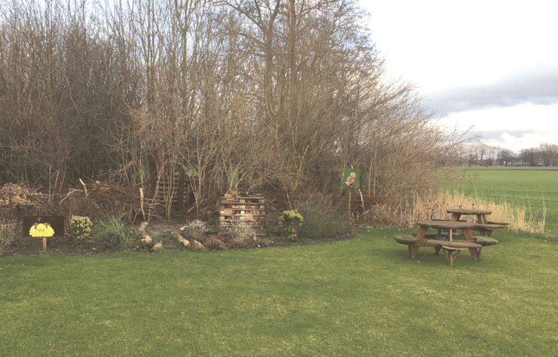 kukelnest-lichter_785x503_acf_cropped